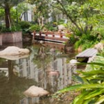 Pond with footbridge